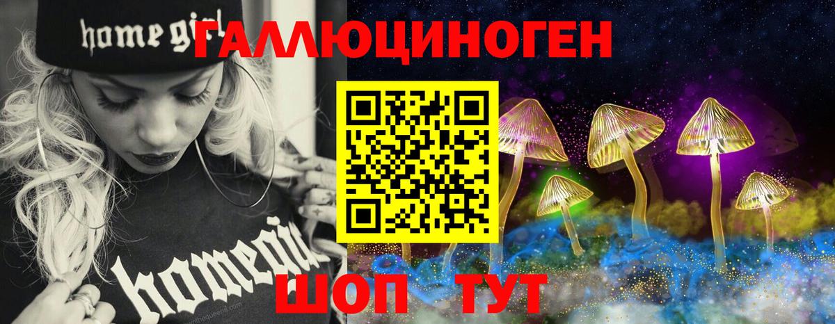 Псилоцибиновые грибы Cubensis Лесной